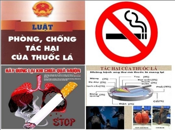 Đắk Lắk triển khai phòng, chống tác hại của thuốc lá 